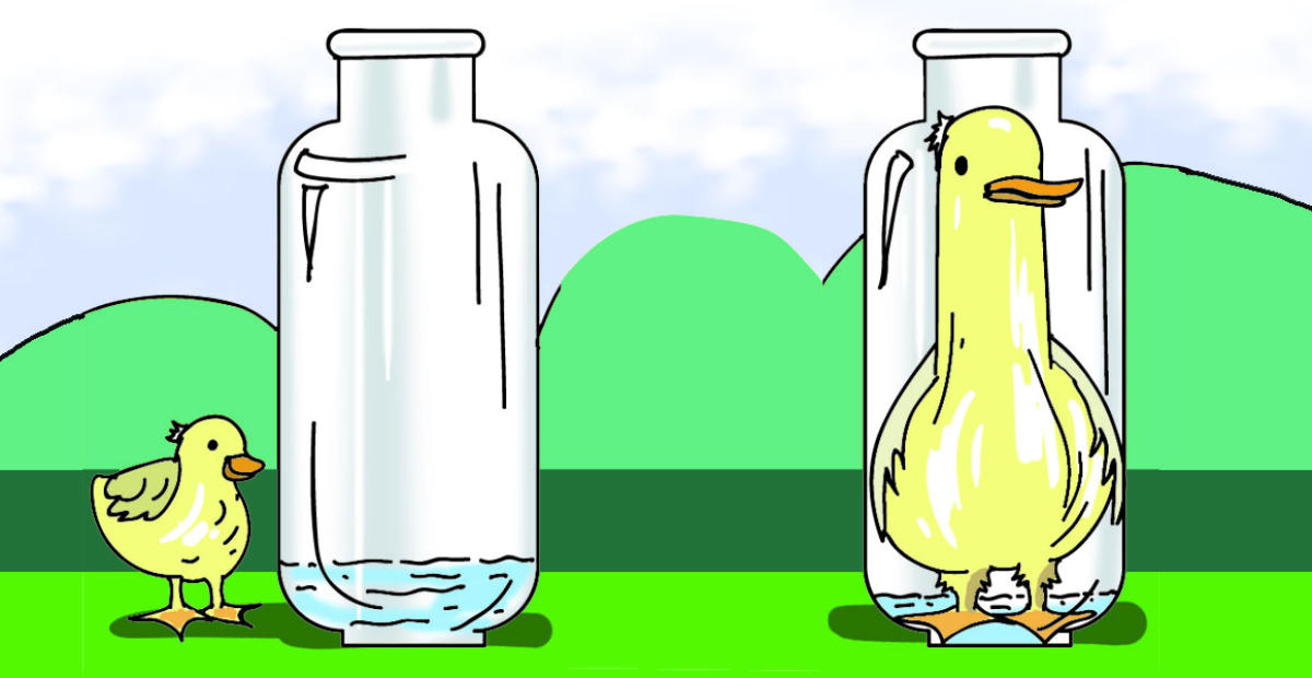 ಕನಸಿನ ಪ್ರಶ್ನೆಗೆ ಕನಸೇ  ಉತ್ತರ!