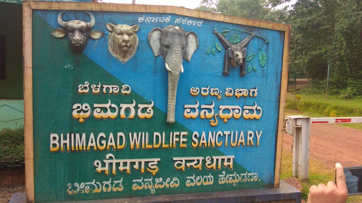 ಭೀಮಗಡ ವನ್ಯಧಾಮ; ಶೀಘ್ರ ಆನ್‌ಲೈನ್‌ ಬುಕ್ಕಿಂಗ್‌ ಸೇವೆ