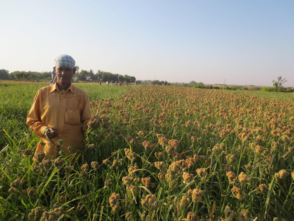 ಅಂತರ್ಜಲ ಜಾಗೃತಿ: ಭಾಗ್ಯಮ್ಮಗೆ ನಬಾರ್ಡ್ ಬೆಸ್ಟ್ ಪ್ರಶಸ್ತಿ