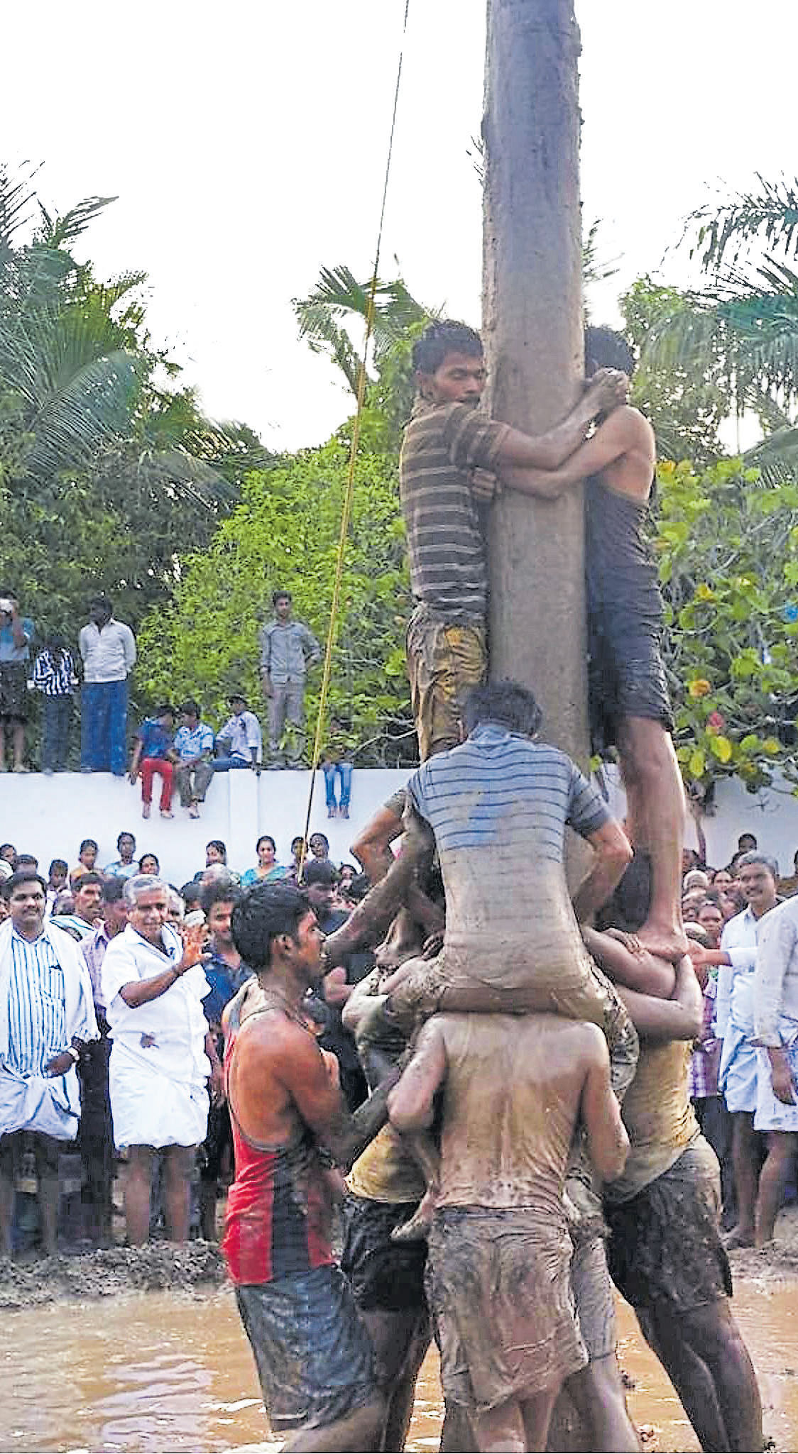 ಆಂಧ್ರದ ಉಟ್ಲ ಪರಿಷೆ –ಗ್ರಾಮೀಣ ಕ್ರೀಡೆ