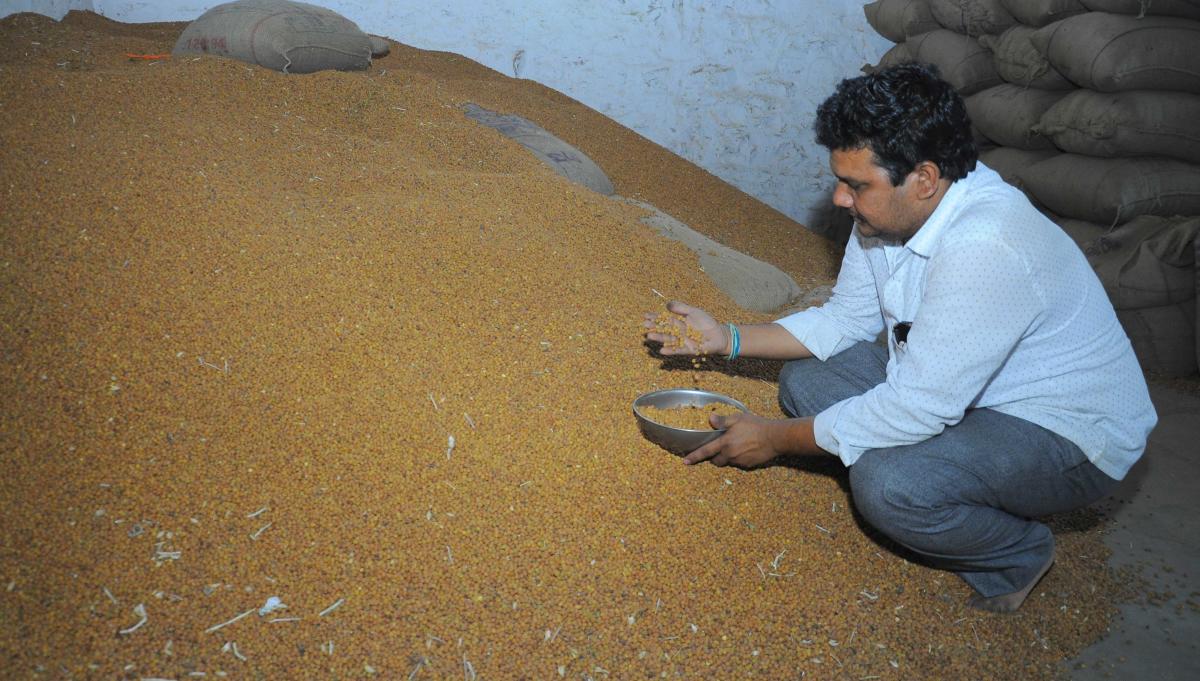 67,913 ಕ್ವಿಂಟಲ್ ಕಡಲೆ ಆವಕ; ಧಾರಣೆ ಸ್ಥಿರ
