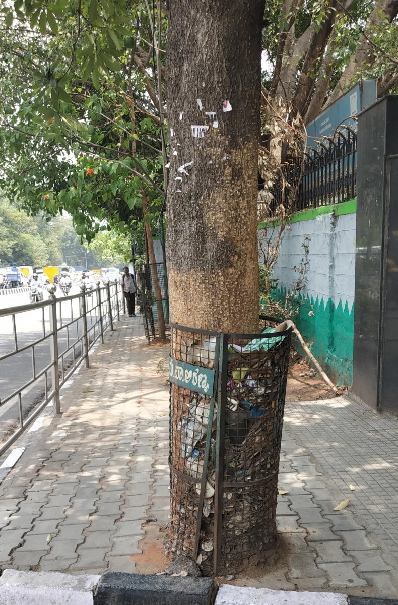 ಗಿಡಗಳಿಗೆ ಕಂಟಕವಾದ ರಕ್ಷಾ ಕವಚ
