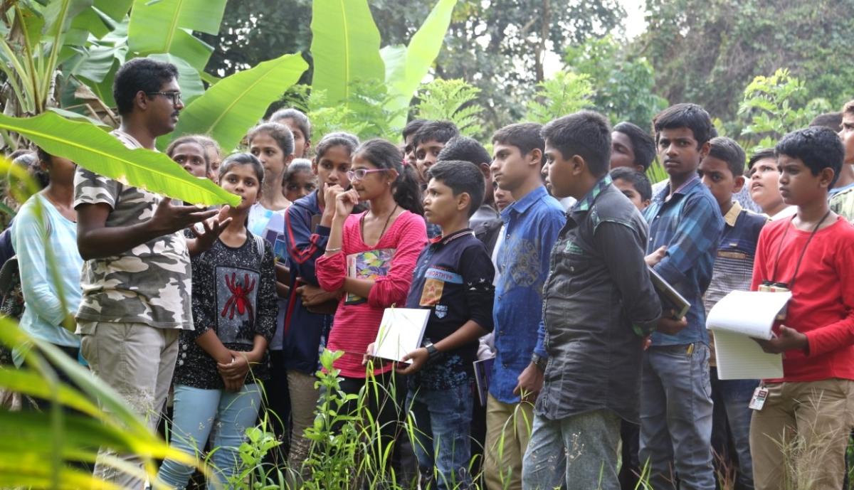 ಕಾನನದಲ್ಲಿ ವಿಜ್ಞಾನ ಪಾಠ!
