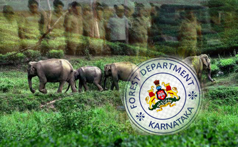 ಬಡ್ತಿಯಲ್ಲಿ ‘ಅರಣ್ಯ ನ್ಯಾಯ’: ಸಿಐಡಿ ತನಿಖೆ