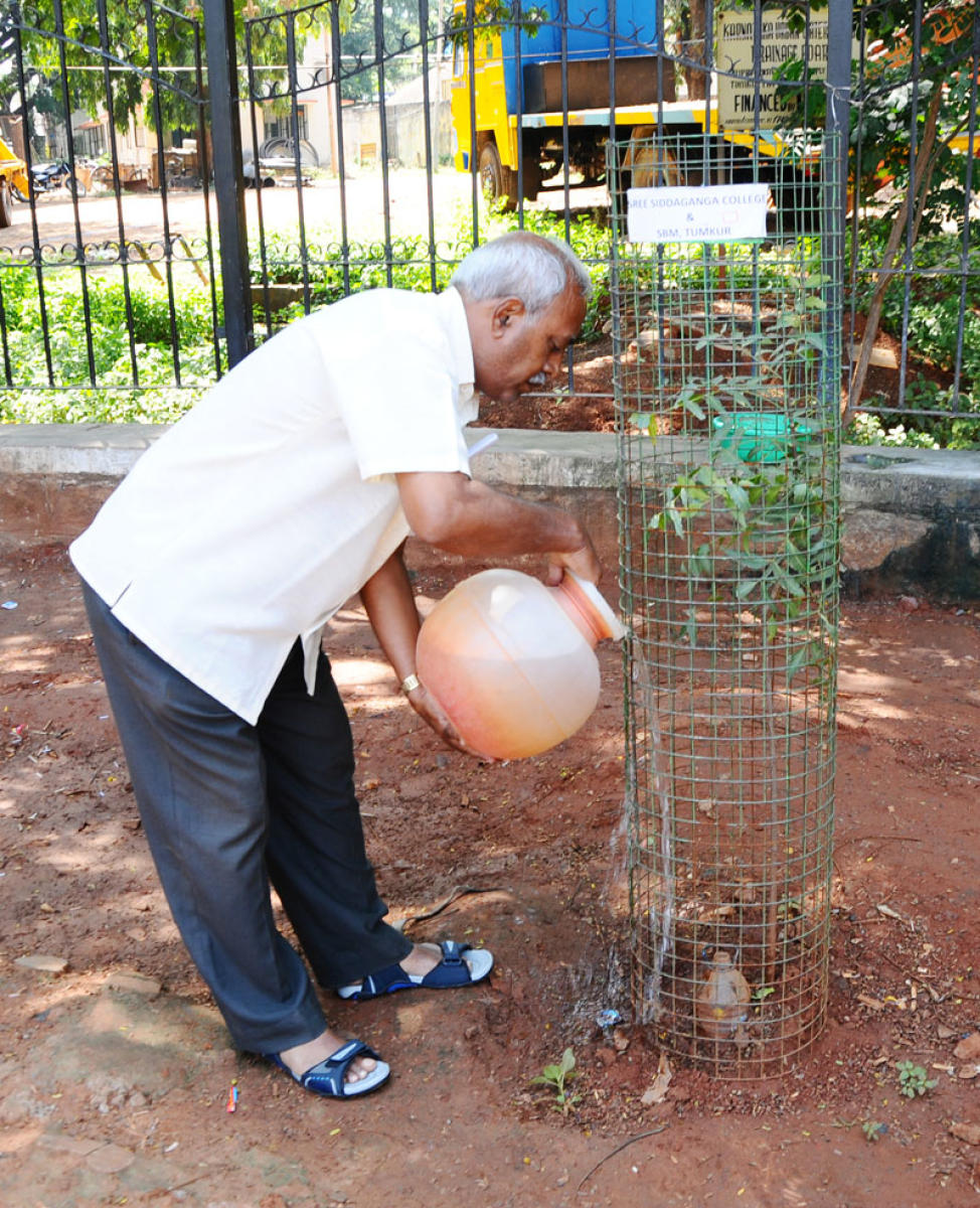 11 ಸಾವಿರ ಸಸಿ ನೆಟ್ಟ ‘ವೃಕ್ಷ ಮಿತ್ರ’
