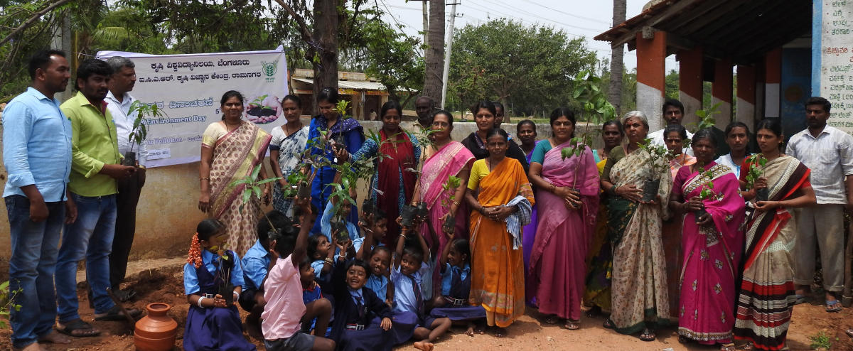 ಸಸಿ ಬೆಳೆಸಿ ಉಳಿಸಲು ಮನವಿ