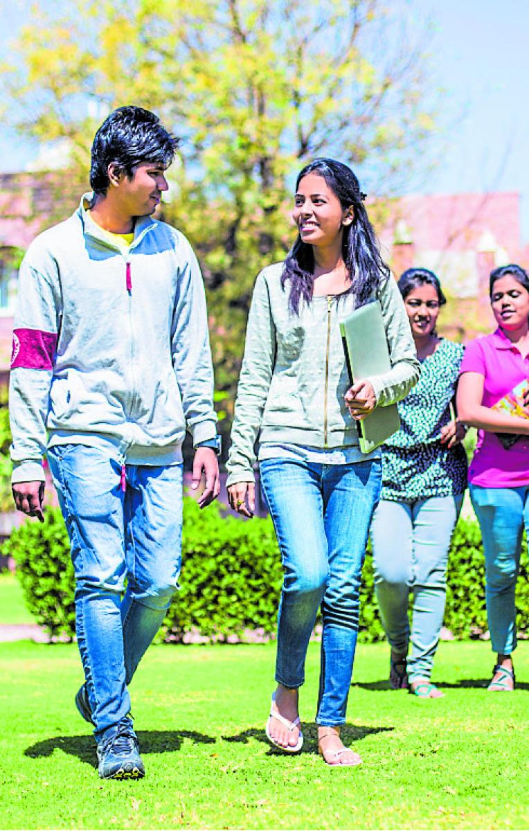 ಮರದ ಕೆಳಗೆ ಪೆನ್‌ಡ್ರೈವ್ ಸಿಕ್ಕಾಗ...