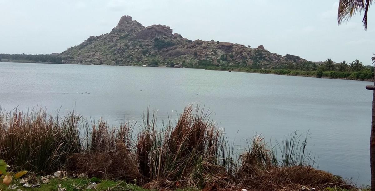 ಪಾಂಡವಪುರದ ಜೀವ ‘ಹಿರೋಡೆ’ ಕೆರೆ ಒಡಲಲ್ಲಿ ಐತಿಹಾಸಿಕ ಪರಂಪರೆ