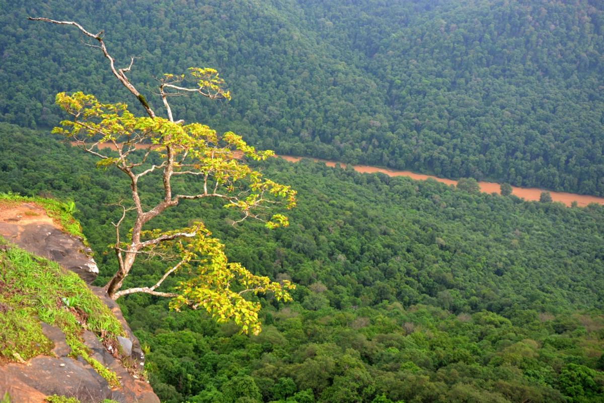 ಕಾರವಾರ | ಅಂಬರದ ಆನಂದ ‘ಜೇನುಕಲ್ಲು ಗುಡ್ಡ