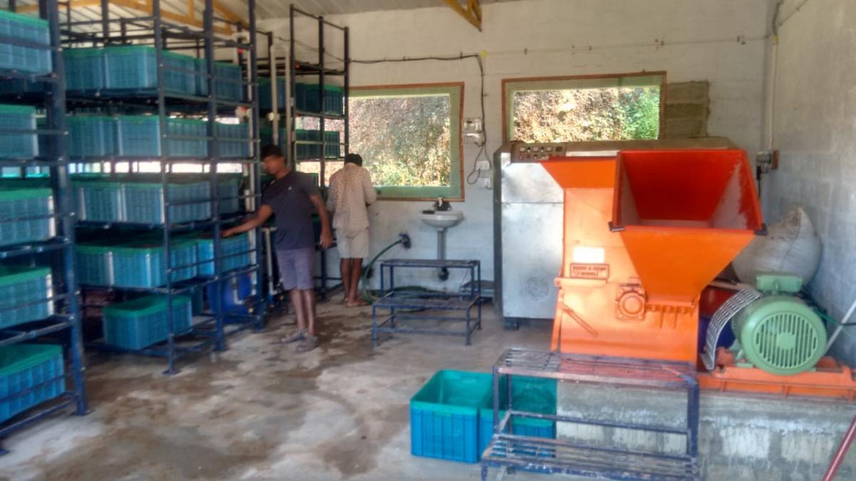 ಉತ್ತರ ಕನ್ನಡ ಜಿಲ್ಲೆಯಲ್ಲಿ ಮೊದಲ ಪ್ರಯೋಗ | ಹಸಿಕಸದಿಂದ ಸಾವಯವ ಗೊಬ್ಬರ ಉತ್ಪಾದನೆ