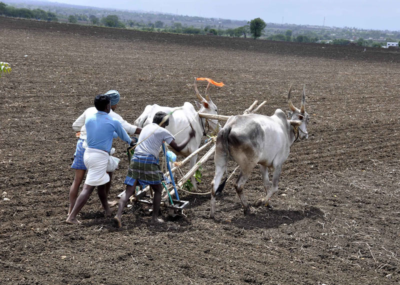 ಸಾಲ 50 ಸಾವಿರ; ಮನ್ನಾ ಲಕ್ಷ!