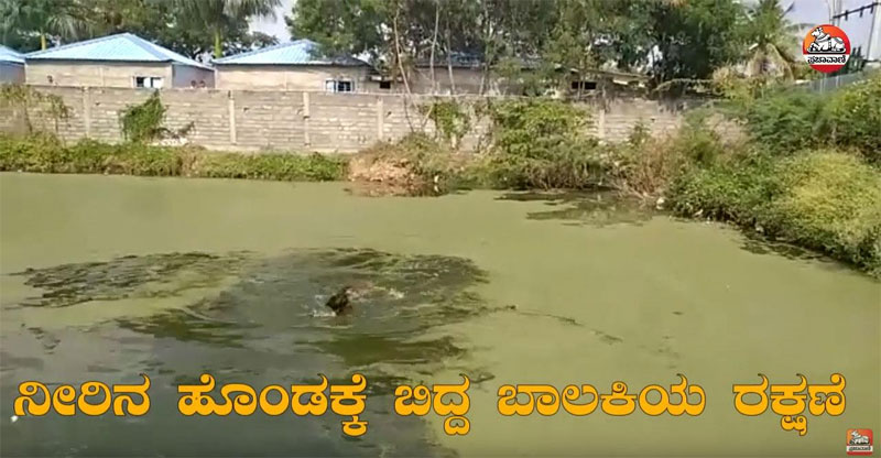 Viral Video: ನೀರಿನ ಹೊಂಡಕ್ಕೆ ಬಿದ್ದ ಬಾಲಕಿಯ ರಕ್ಷಿಸಿದ ಯುವಕ