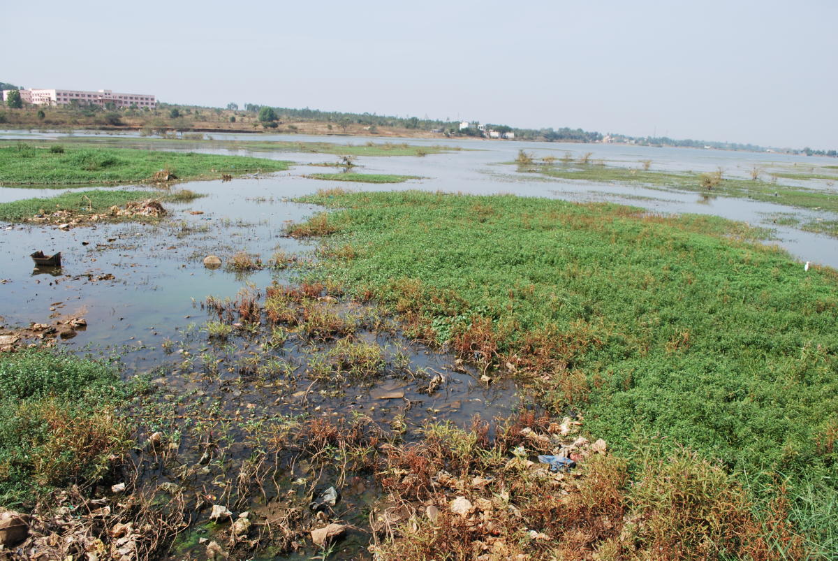 ಅಮೃತದ ಬಟ್ಟಲಿಗೆ ವಿಷಪ್ರಾಶನ