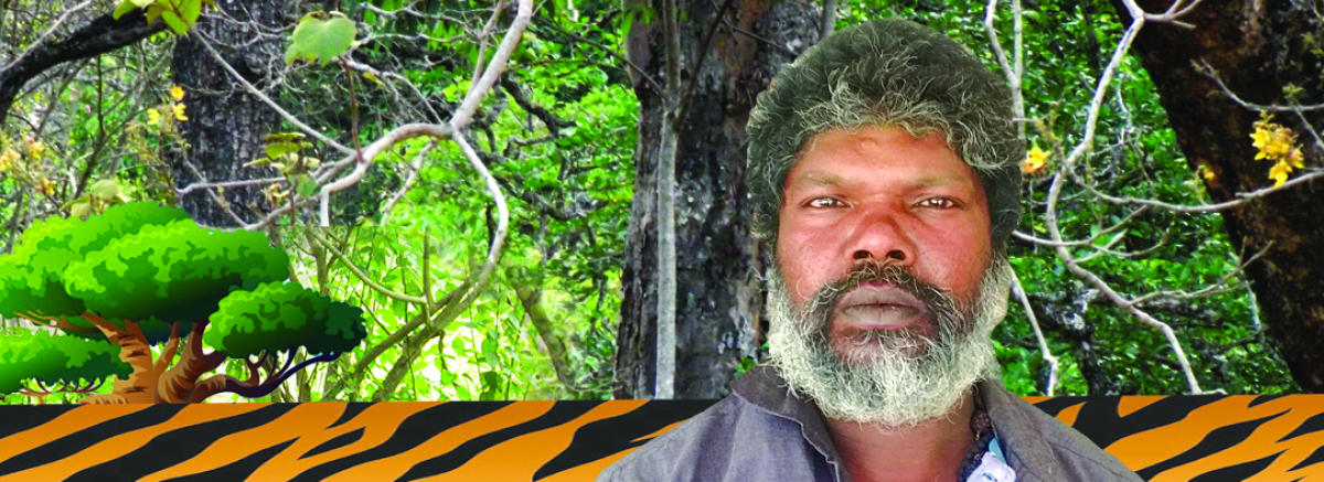 ಆಲಿಸಿ... ಕಾನನದ ಕೂಗು