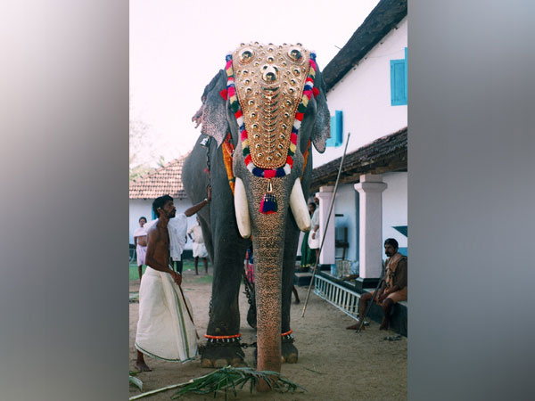 ಗುರುವಾಯೂರು ದೇವಸ್ಥಾನದ ಆನೆ ಸಾವು