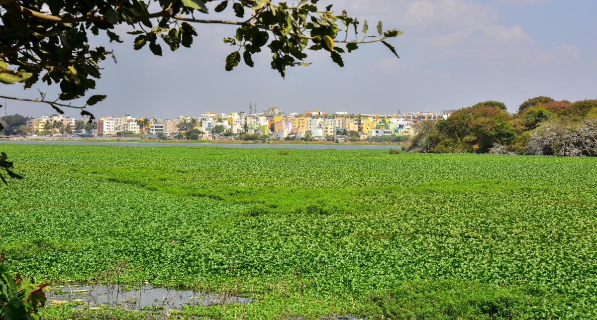 ಸಂಚಾರ ದಟ್ಟಣೆಯೇ ಸವಾಲು
