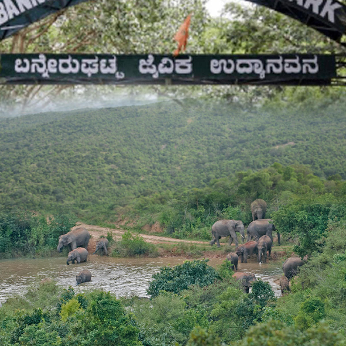 ಇಎಸ್‌ಜೆಡ್‌ ವ್ಯಾಪ್ತಿಗೆ ಕತ್ತರಿ ಪರಿಸರದ ನಿಷ್ಕಾಳಜಿಗೆ ನಿದರ್ಶನ