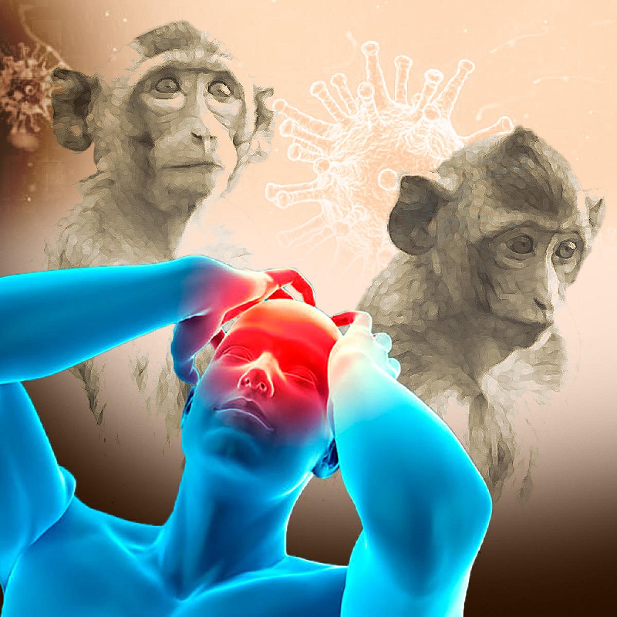 ಚಿಕ್ಕಮಗಳೂರು: ಮಂಗನ ಕಾಯಿಲೆಯಿಂದ ವ್ಯಕ್ತಿ ಸಾವು