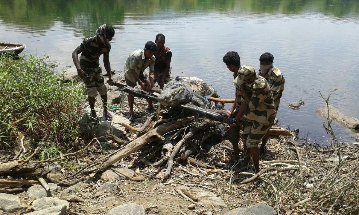ಅಕ್ರಮ ಮೀನುಗಾರಿಕೆ: ಜಲಚರಗಳಿಗೆ ಕುತ್ತು