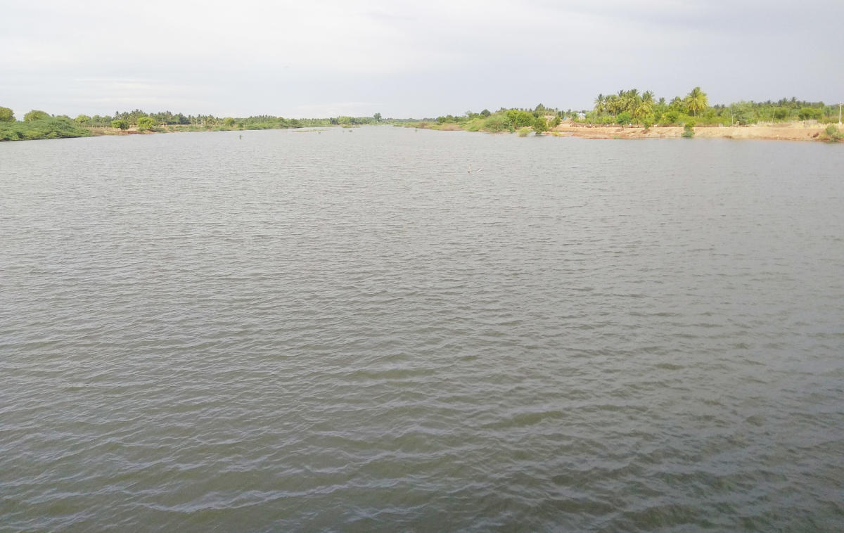 ಚಿತ್ರದುರ್ಗ | ಕೋಟೆನಾಡಿನ ಪರಿಸರಕ್ಕೆ ಜೀವಕಳೆ ತುಂಬಿದ ವೇದಾವತಿ