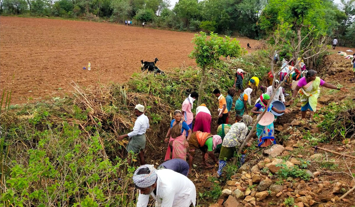 ಹುಣಸಗಿ | ವಲಸೆ ಕಾರ್ಮಿಕರ ಕೈ ಹಿಡಿದ ಉದ್ಯೋಗ ಖಾತ್ರಿ