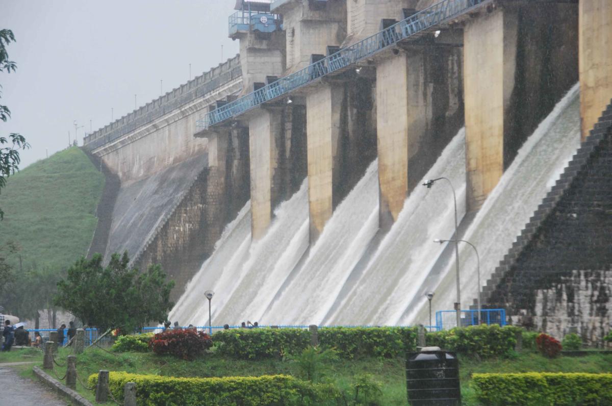ಮಲೆನಾಡು ಭಾಗದಲ್ಲಿ ತೋಟಗಳು ಜಲಾವೃತ: ಮುಳುಗಿದ ರೈತರ ಬಾಳು