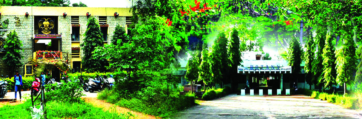ಕ್ಷೀಣಿಸದಿರಲಿ ಈ ‘ಸಸ್ಯಭಾರತಿ’