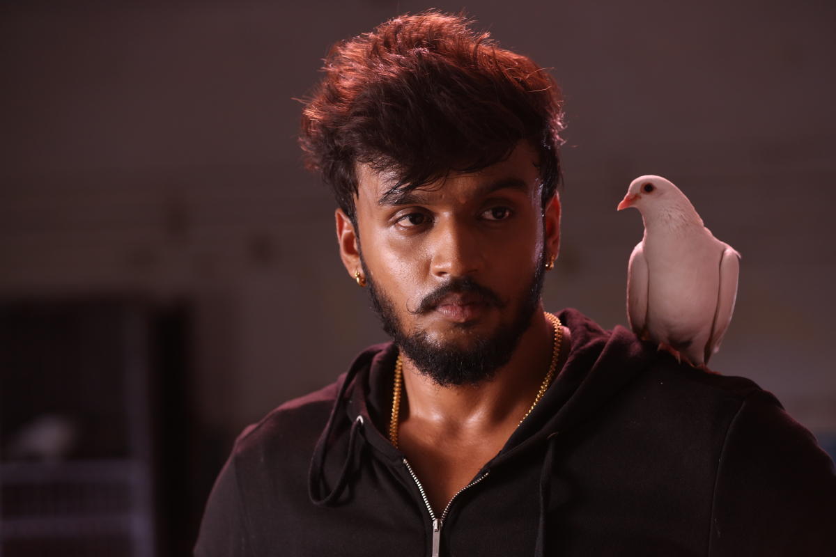 ಬಂಡೀಪುರದಲ್ಲಿ ನಟ ಧನ್ವೀರ್ ಗೌಡ ರಾತ್ರಿ ಸಫಾರಿ; ಪರಿಸರ ಪ್ರಿಯರಿಂದ ಆಕ್ರೋಶ 