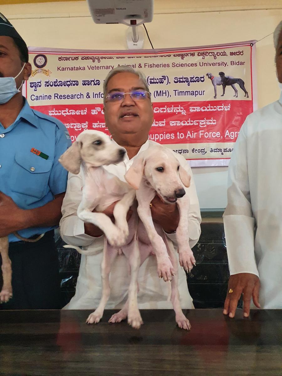 ವಾಯುಪಡೆಗೆ ಮುಧೋಳ ತಳಿ ಶ್ವಾನ