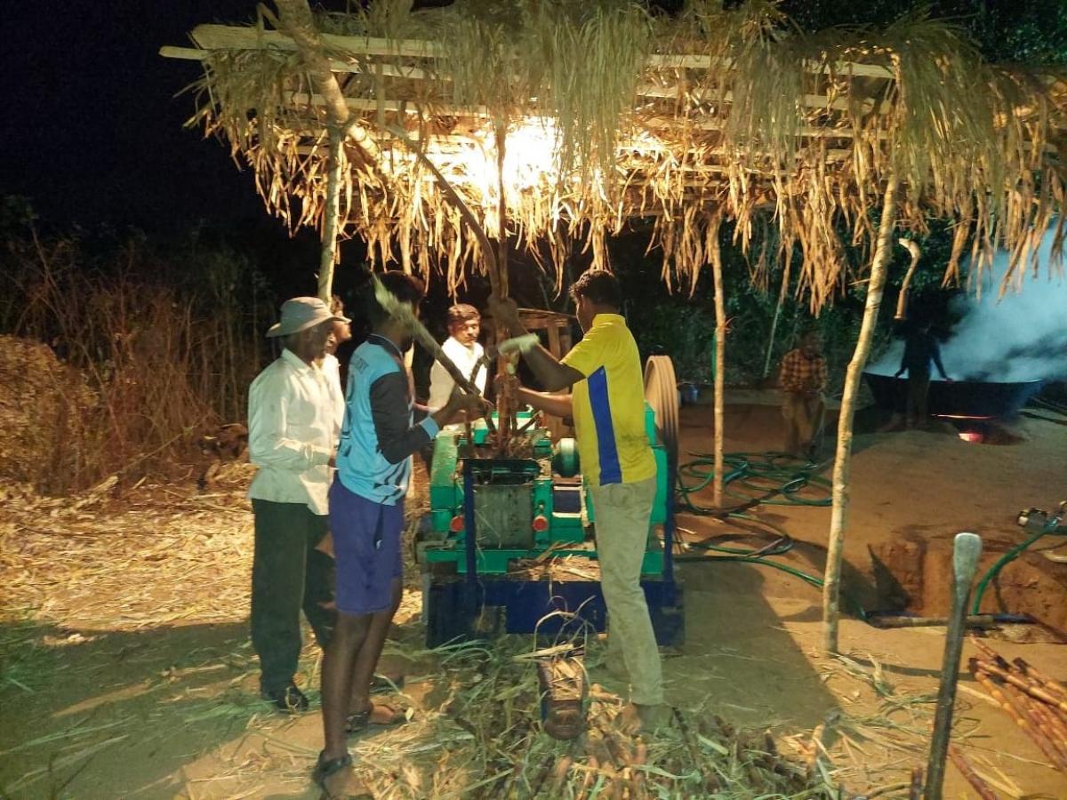 ಕಬ್ಬು ಬೆಳೆ ಕುಸಿತ: ಗ್ರಾಮಗಳಲ್ಲಿ ಮರೆಯಾಗುತ್ತಿರುವ ಆಲೆಮನೆ