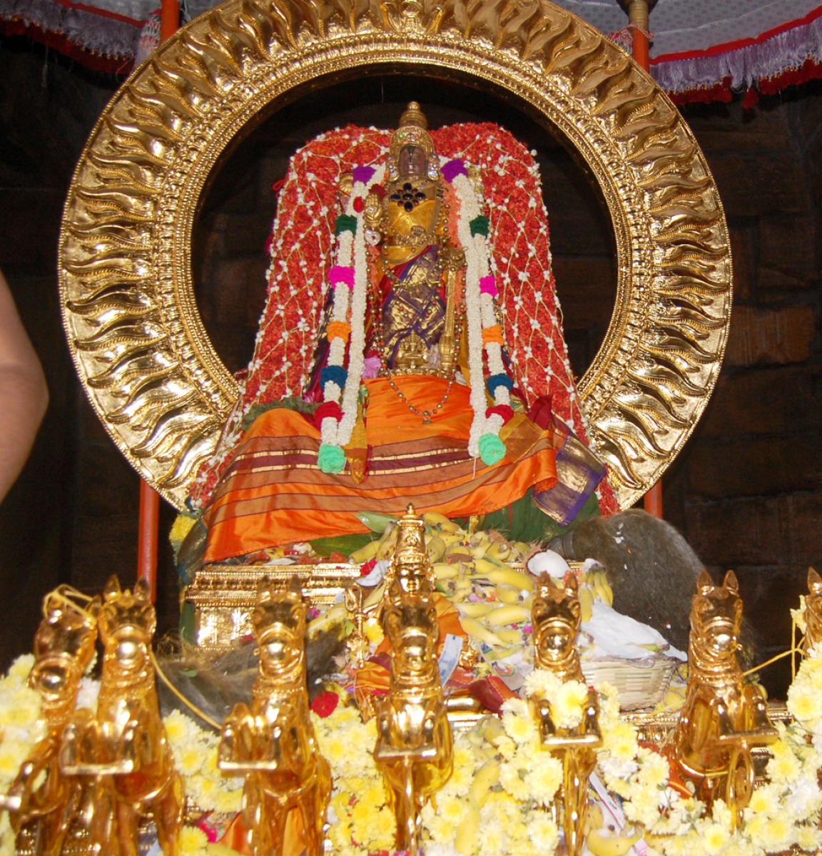 ಮೇಲುಕೋಟೆಯಲ್ಲಿ ಸಂಭ್ರಮದ ರಥಸಪ್ತಮಿ