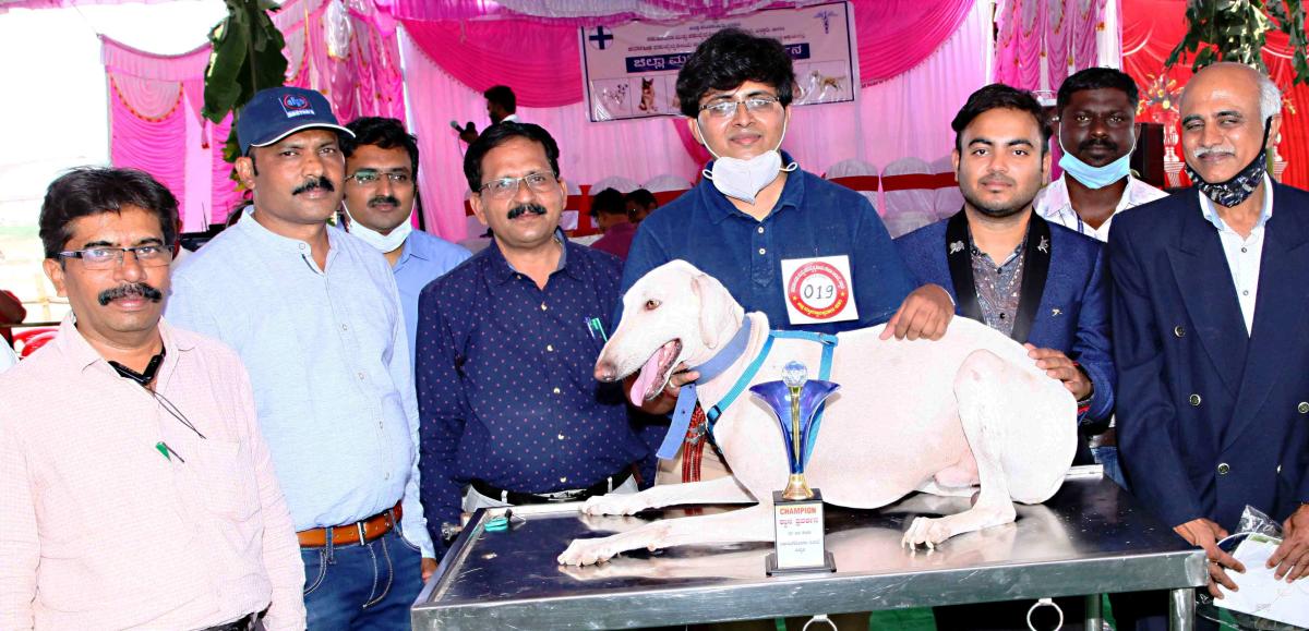 ಶ್ವಾನ ಪ್ರದರ್ಶನ: ಹೆಮ್ಮೆಯ ‘ಮುಧೋಳ’ ಬೆಸ್ಟ್‌ ಆಫ್‌ ಶೋ!