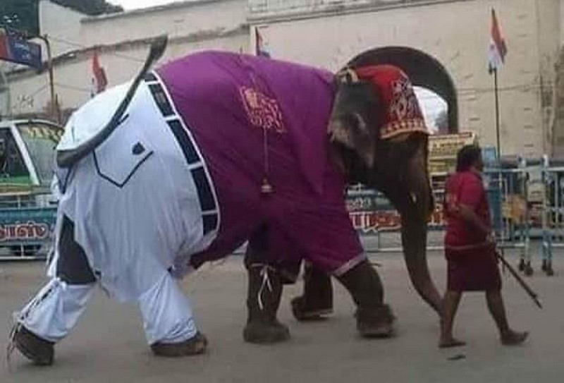 ಶರ್ಟ್-ಪ್ಯಾಂಟ್ ಧರಿಸಿದ ಆನೆ; ಆನಂದ್ ಮಹೀಂದ್ರಾ ಟ್ವೀಟ್ ವೈರಲ್