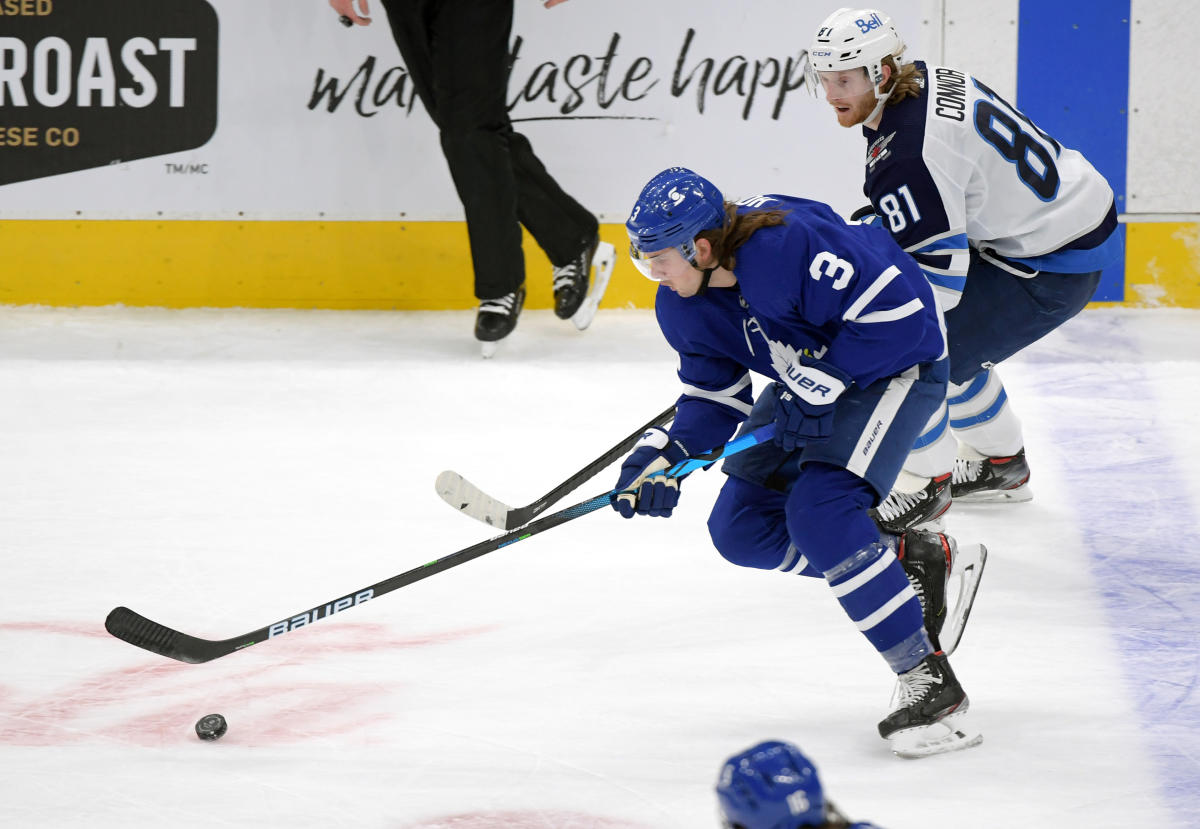 ಪಂದ್ಯದ ವೇಳೆ ತಲೆಗೆ ಪೆಟ್ಟು ಬಿದ್ದು ಐಸ್‌ ಹಾಕಿ ಆಟಗಾರನ ದುರ್ಮರಣ