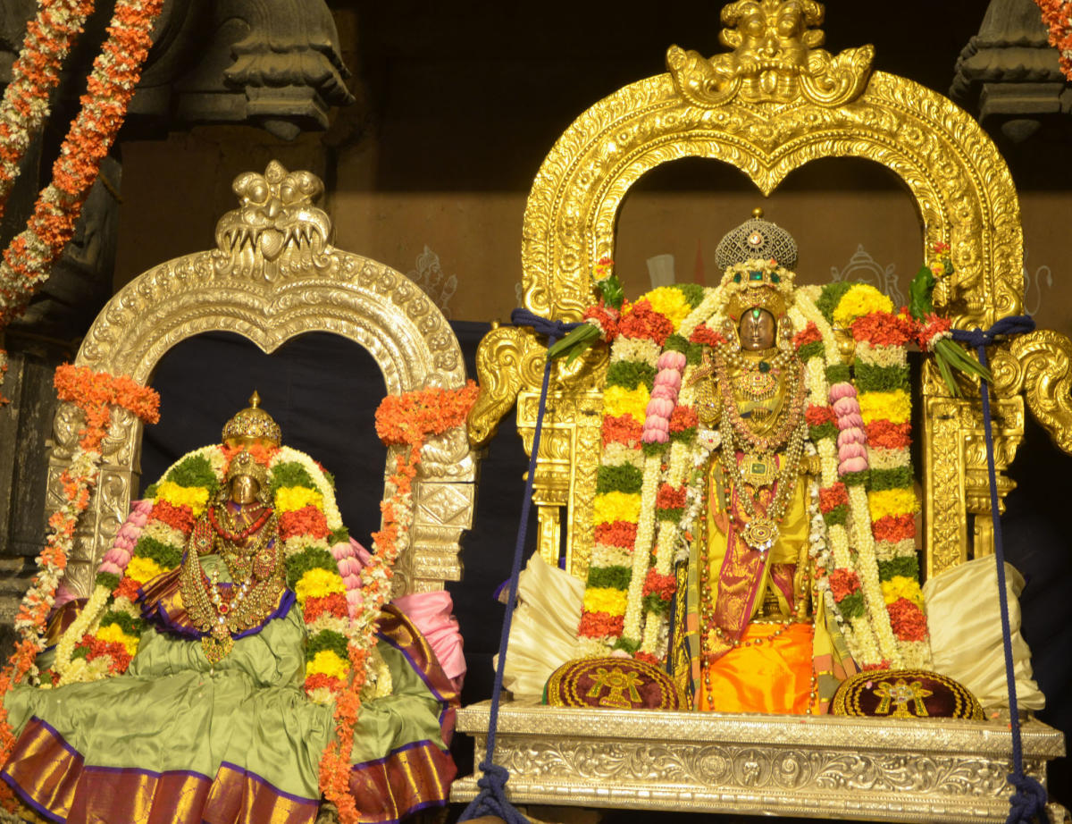 ಮೇಲುಕೋಟೆ ಸಂಭ್ರಮದ ಕಲ್ಯಾಣೋತ್ಸವ