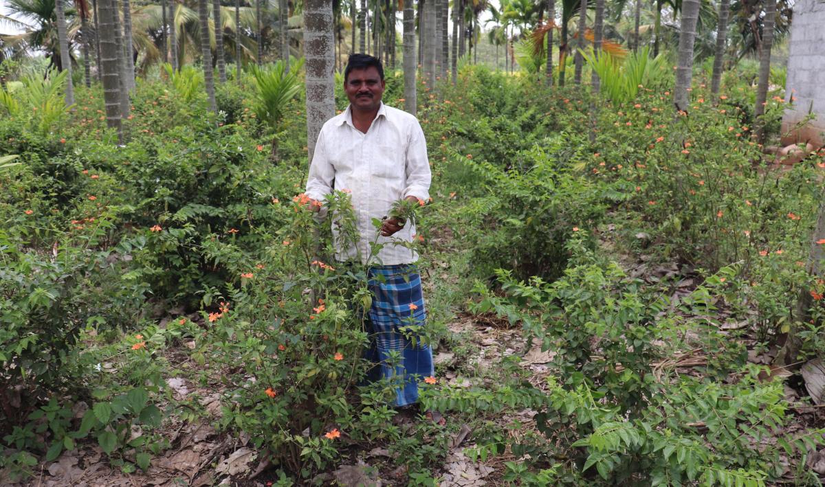ತತ್ತರಿಸಿದ ಪುಷ್ಪ ಬೆಳೆಗಾರರು:  ಪರಿಹಾರ ನೀಡಲು ರೈತರ ಆಗ್ರಹ