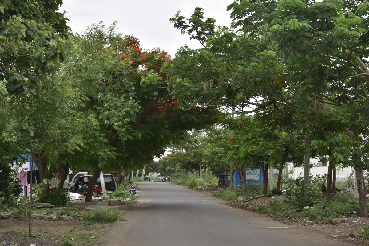 ಬನ್ನಿ, ಹಸಿರು ಕಲಬುರ್ಗಿಗೆ ಕೈ ಜೋಡಿಸಿ..