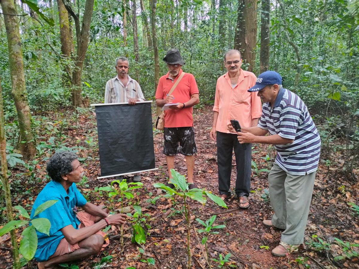 ಪಶ್ಚಿಮ ಘಟ್ಟದ ತಪ್ಪಲು: ದಾಖಲಾಗುತ್ತಿವೆ ಮುಂಡಾಜೆ ಸಸ್ಯ ಸಂಪತ್ತು
