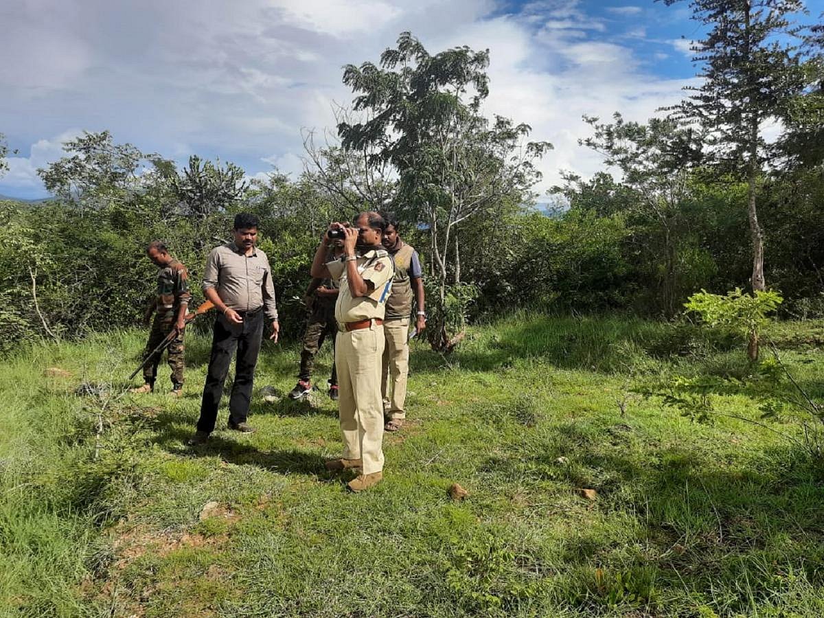 ಚಾಮರಾಜನಗರ: ಬಂಡೀಪುರ ಅರಣ್ಯದಲ್ಲಿ 2 ಸಫಾರಿ ಟ್ರಿಪ್‌ ಕಡಿತ