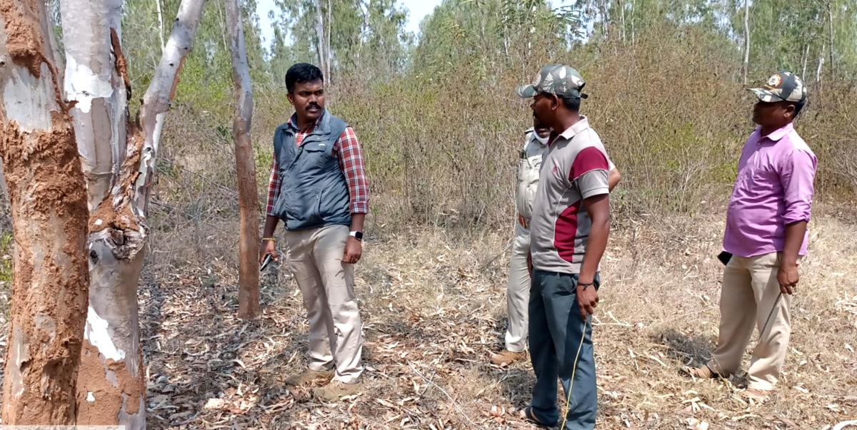 ಹಾವೇರಿ: ವನ್ಯಜೀವಿಗಳ ಗಣತಿ ಕಾರ್ಯ ಇಂದಿನಿಂದ