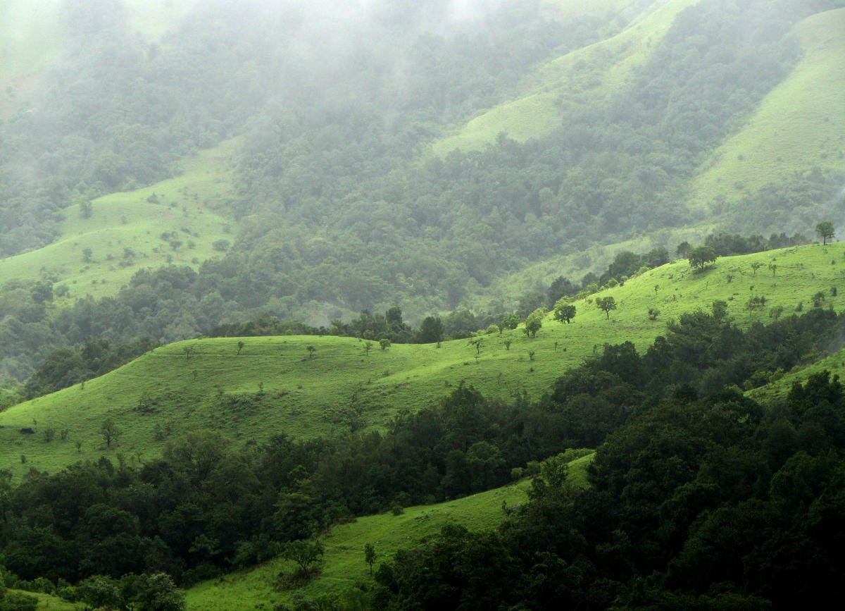 ಒಳನೋಟ | ಗಾಡ್ಗೀಳ್, ಕಸ್ತೂರಿರಂಗನ್‌ ವರದಿಗಳ ಸಾರ ಏನು?