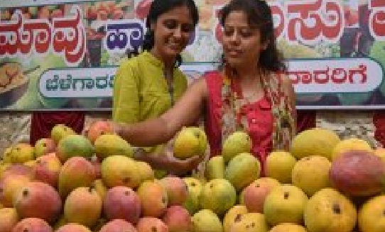 ವಿಜಯನಗರ | ‘ಗ್ರಾಮೀಣ ಸಂತೆ’ಗೆ ಕೂಡಿಬರದ ಕಾಲ
