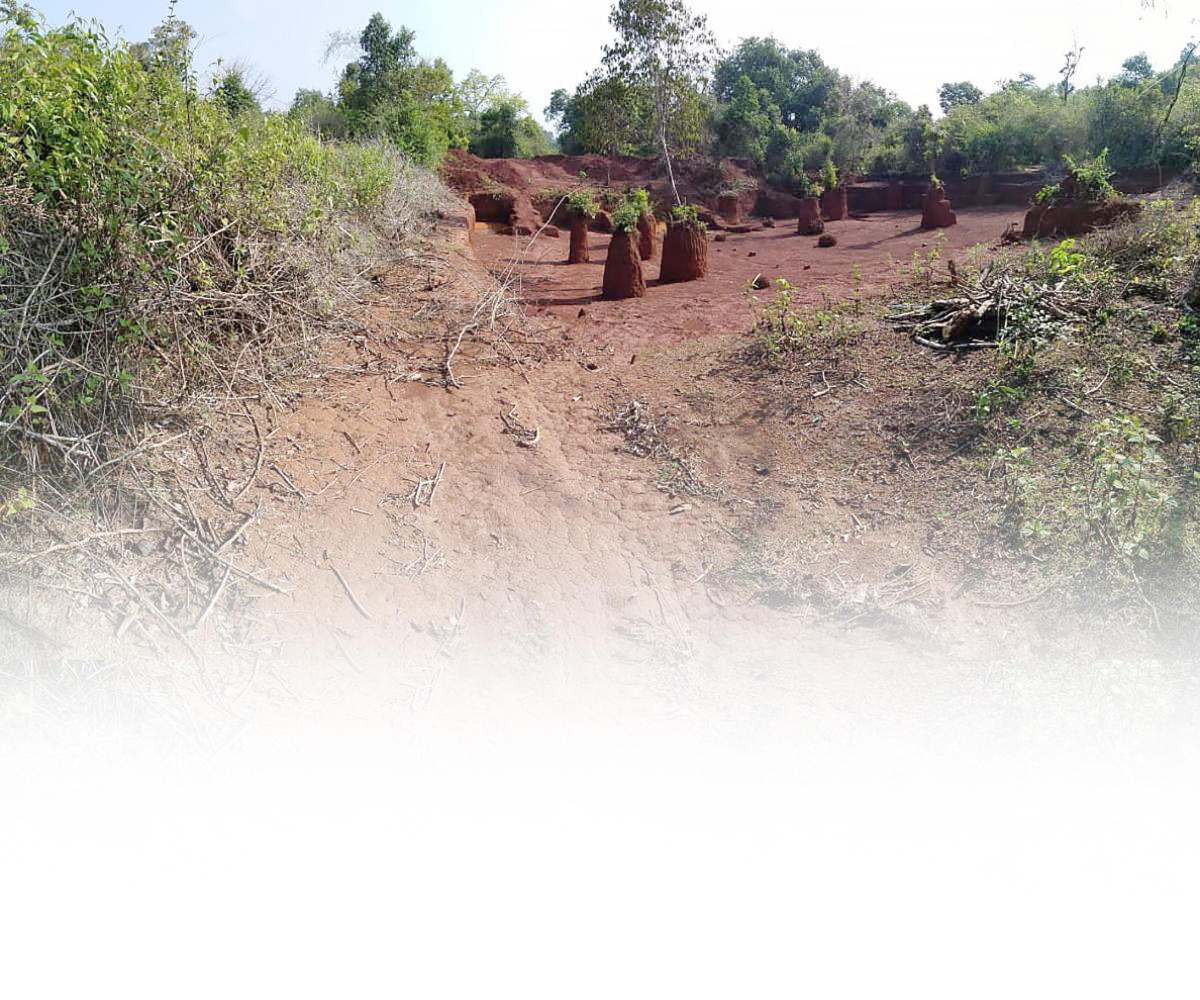 ಪರಿಹಾರ ಕಾಣದ ಪರಿಸರ-ಅಭಿವೃದ್ಧಿ ಸಂಘರ್ಷ