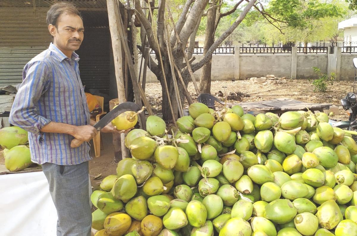 ಬಿಸಿಲಿನ ತಾಪ: ಎಳನೀರು ಬೆಲೆ ಹೆಚ್ಚಳ