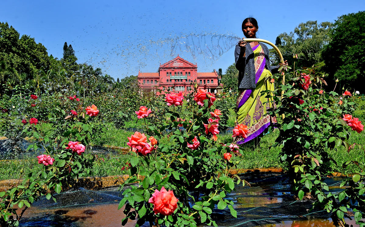 ಕಬ್ಬನ್ ಉದ್ಯಾನ: ಶುದ್ಧೀಕರಿಸಿದ ನೀರಿನ ಮರುಬಳಕೆ