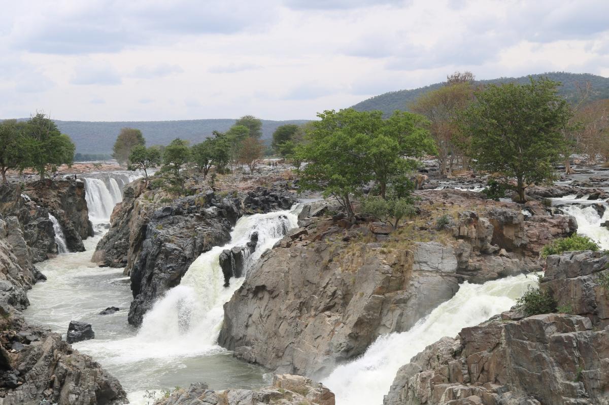 ಕಾವೇರಿ ನೀರಿನ ಮಟ್ಟ ಹೆಚ್ಚಳ: ಹೊಗೆನಕಲ್‌ ಜಲಪಾತದಲ್ಲಿ ತೆಪ್ಪ ವಿಹಾರ ಸ್ಥಗಿತ