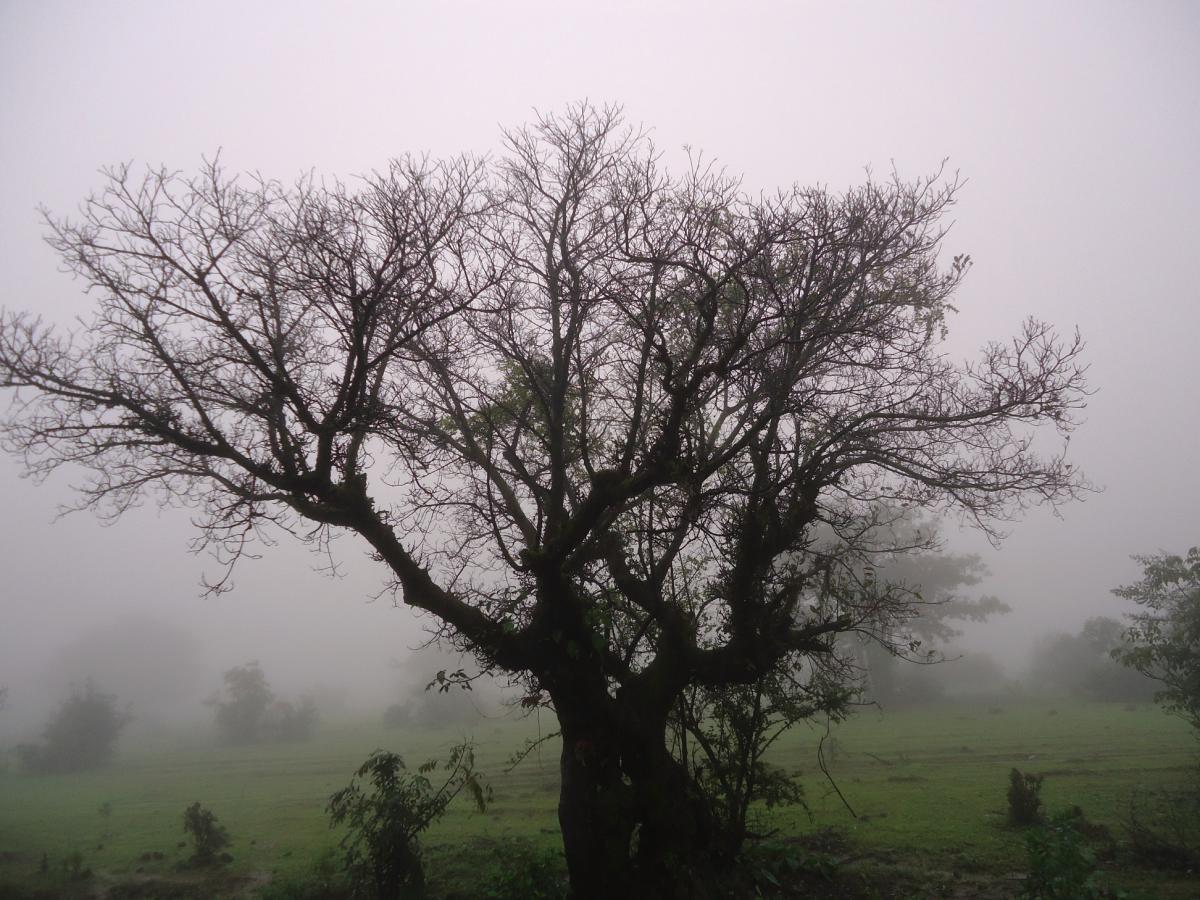 ಖಾನಾಪುರ: ಪರಿಸರಪ್ರಿಯರ ಚಾರಣಕ್ಕೆ ಸಕಾಲ
