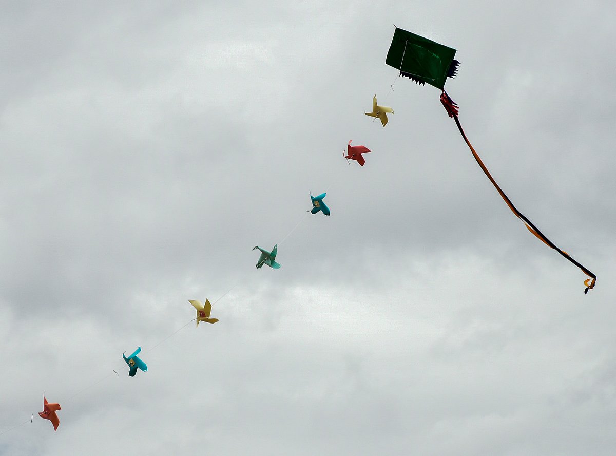 ಗಾಳಿಪಟಗಳಿಗೆ ಮಾಂಜಾ ದಾರ ಬಳಸುವಂತಿಲ್ಲ