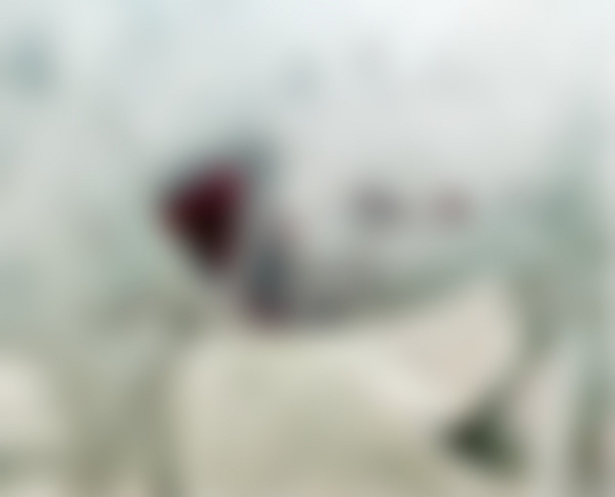 ಗೋಣಿಕೊಪ್ಪಲು: ಹುಲಿ ದಾಳಿಯಿಂದ ಹಸು ಸಾವು, ರೈತ ಪಾರು