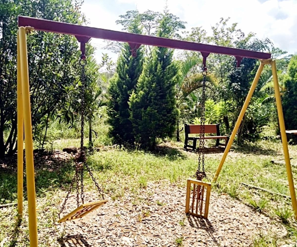 ಕಾಡಿನಂತಾದ ಕೆಳಗೂರು ಸಂಜೀವಿನಿ ವನ